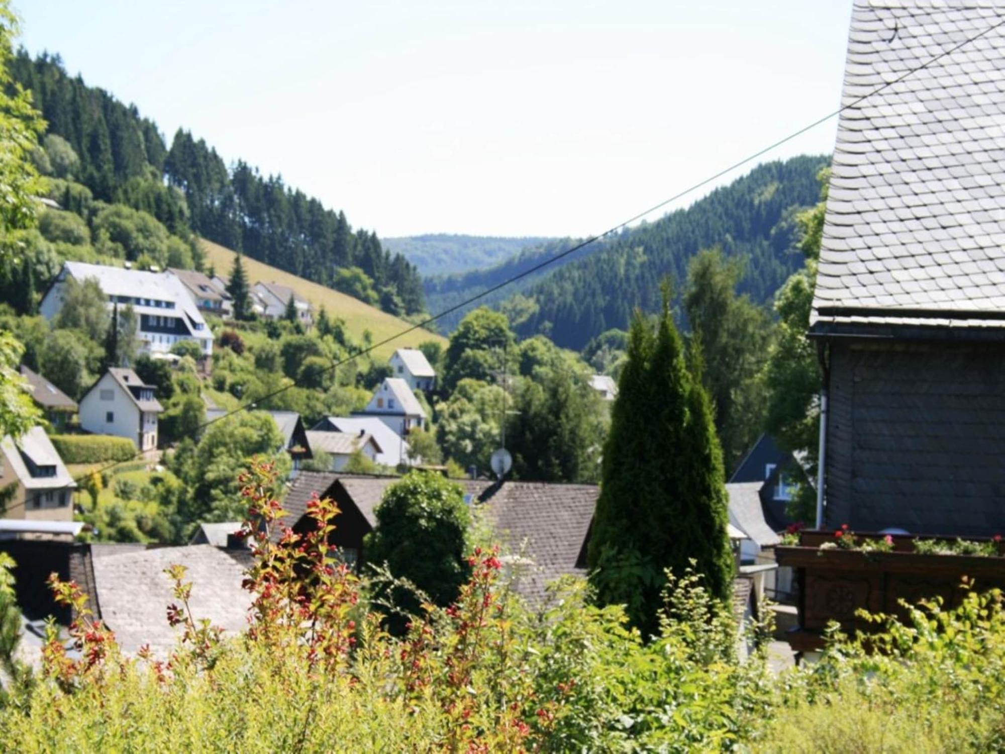 Cosy Apartment In Schwalefeld Near Willingen With Private Terrace Exterior foto